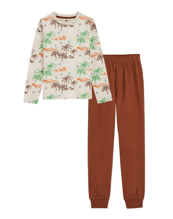 WE Fashion WE Fashion Pidžama set  šampanjac / smeđa / zelena / narančasta