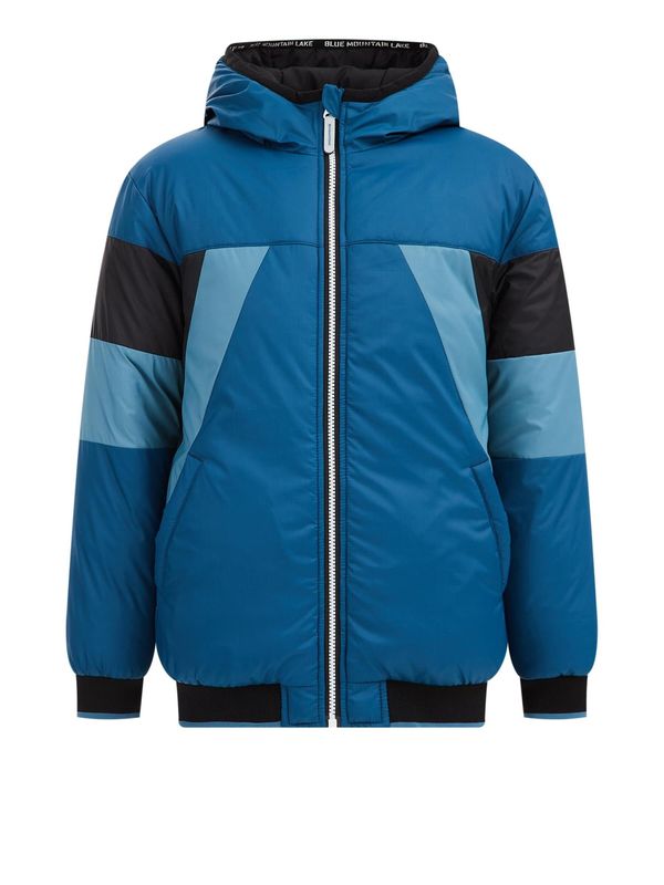 WE Fashion WE Fashion Prijelazna jakna  plava / crna