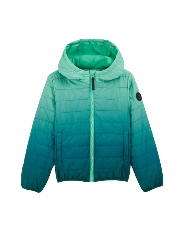 WE Fashion WE Fashion Prijelazna jakna  plava / zelena