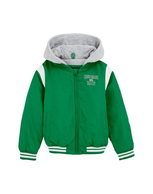 WE Fashion WE Fashion Prijelazna jakna  siva melange / smaragdno zelena