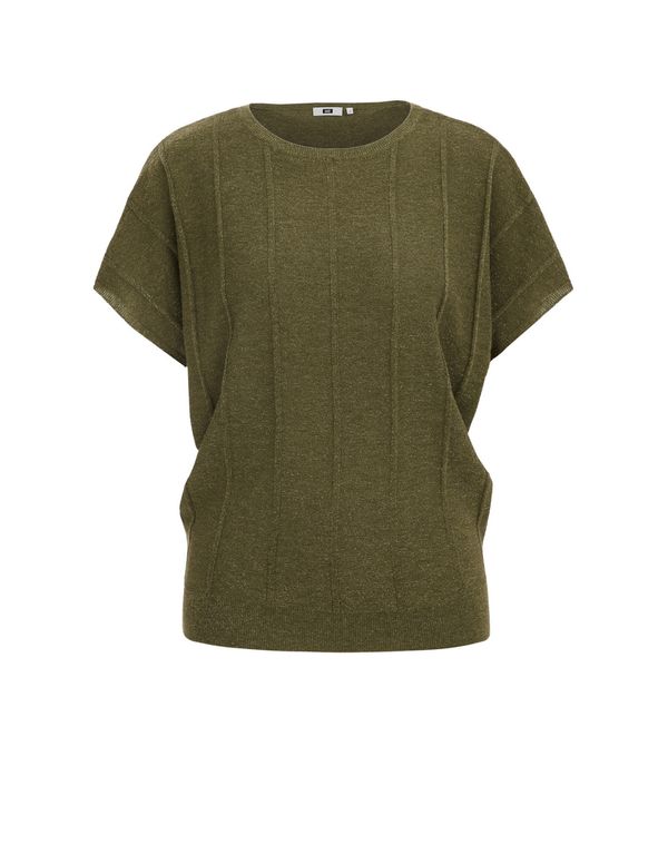 WE Fashion WE Fashion Pulover  maslinasta