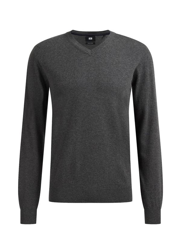 WE Fashion WE Fashion Pulover  siva melange