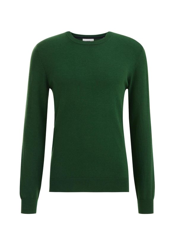 WE Fashion WE Fashion Pulover  svijetlozelena