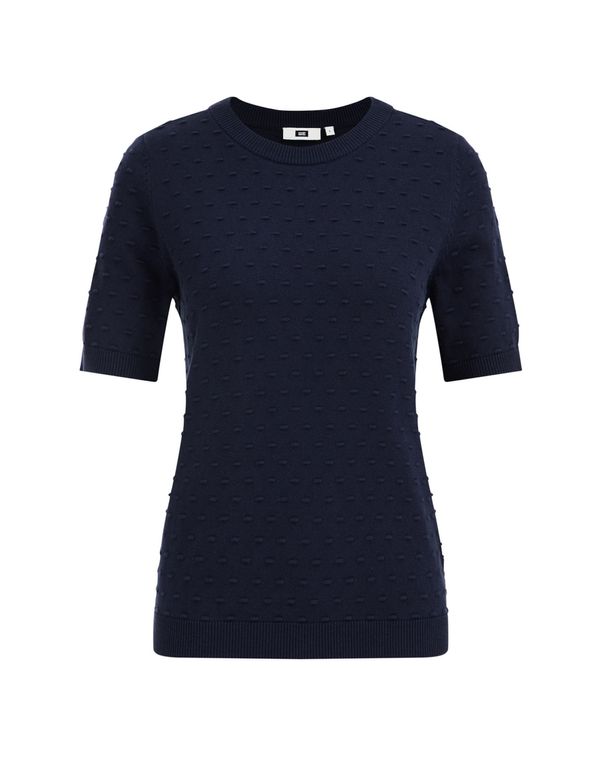 WE Fashion WE Fashion Pulover  tamno plava