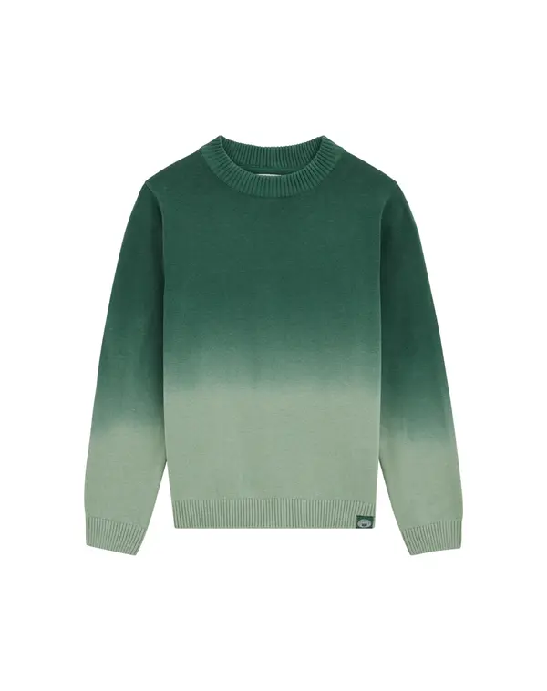 WE Fashion WE Fashion Pulover  zelena / menta