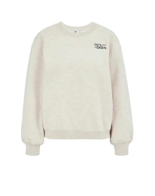 WE Fashion WE Fashion Sweater majica  bež melange / crna
