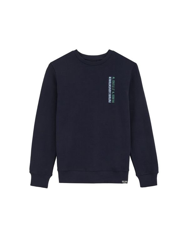 WE Fashion WE Fashion Sweater majica  bež / morsko plava / svijetloplava / smaragdno zelena