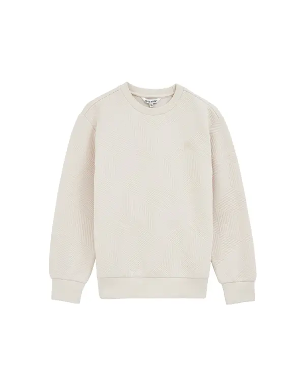 WE Fashion WE Fashion Sweater majica  bež