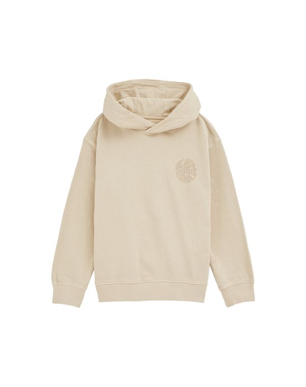 WE Fashion WE Fashion Sweater majica  ecru/prljavo bijela / tamno bež