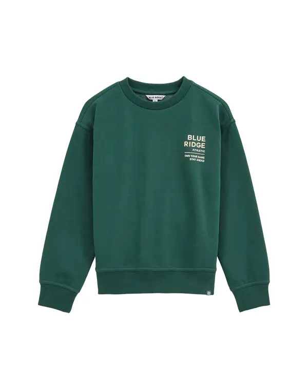 WE Fashion WE Fashion Sweater majica  ecru/prljavo bijela / tamno zelena