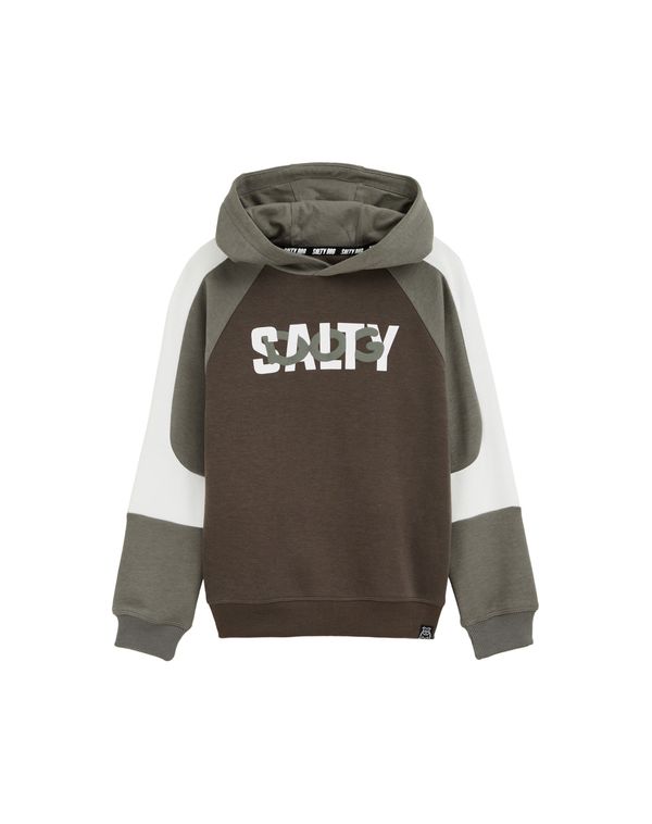 WE Fashion WE Fashion Sweater majica  kaki / bijela