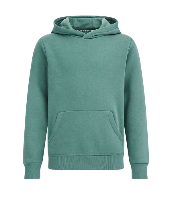 WE Fashion WE Fashion Sweater majica  kaki