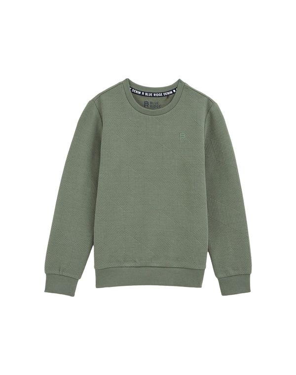 WE Fashion WE Fashion Sweater majica  maslinasta