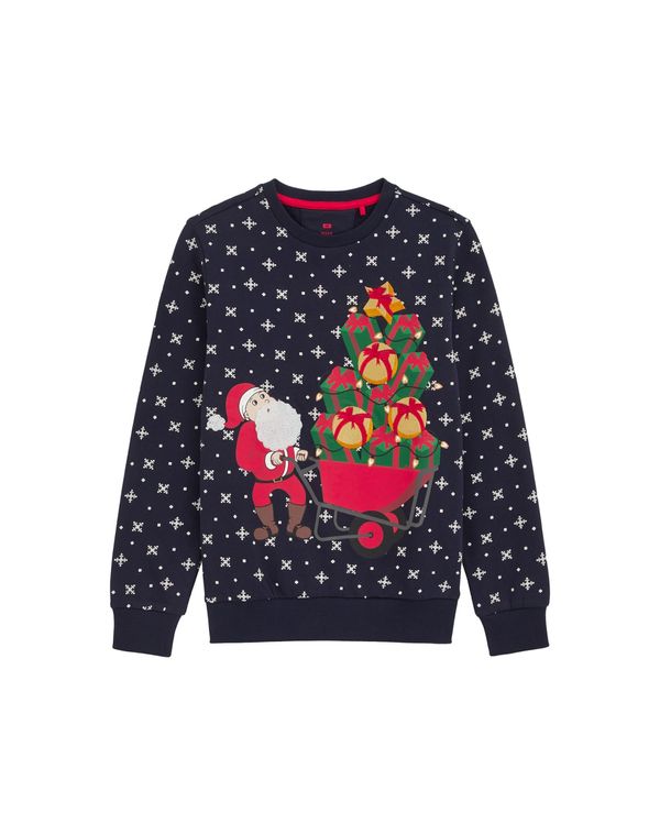 WE Fashion WE Fashion Sweater majica  noćno plava / zelena / krvavo crvena / bijela