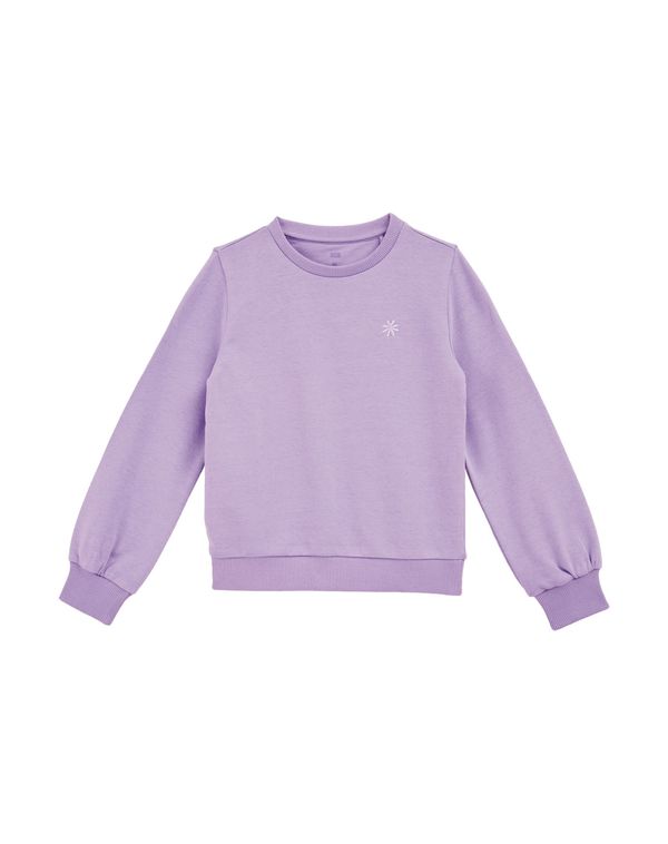 WE Fashion WE Fashion Sweater majica  pastelno ljubičasta