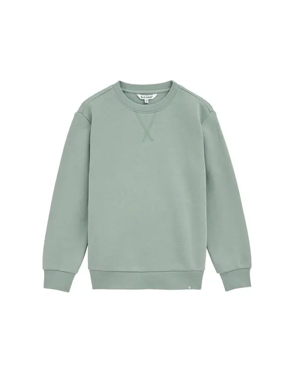 WE Fashion WE Fashion Sweater majica  zelena / svijetlozelena