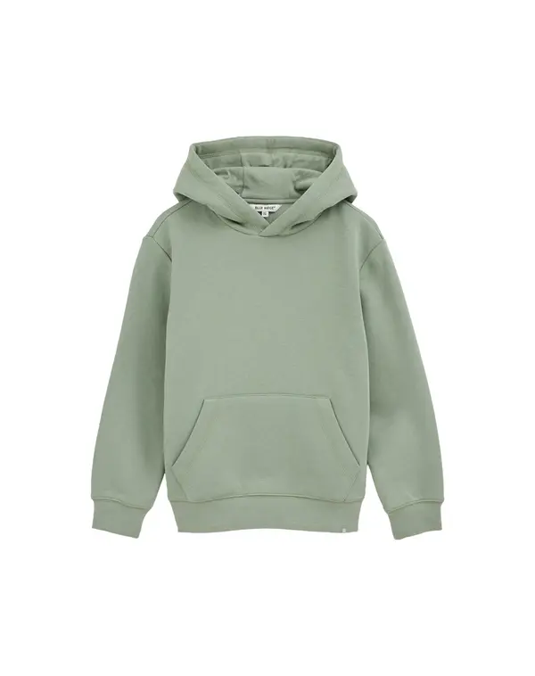 WE Fashion WE Fashion Sweater majica  zelena / svijetlozelena