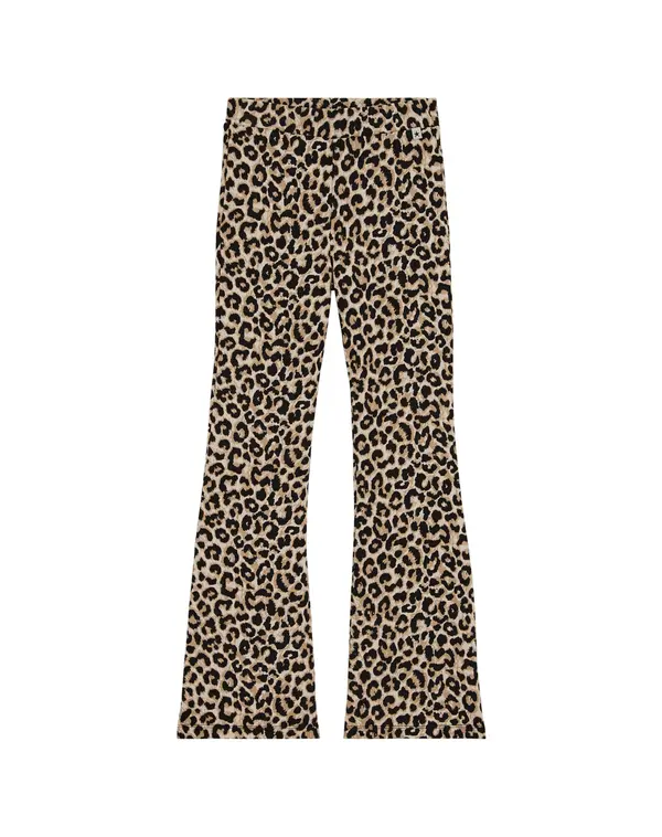 WE Fashion WE Fashion Tajice  brokat / cappuccino / crna