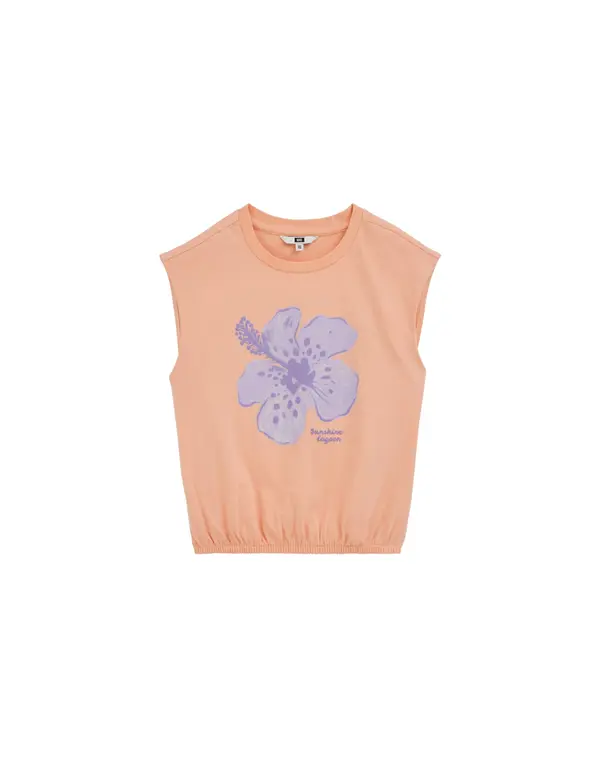 WE Fashion WE Fashion Top  ljubičasta / lila / marelica