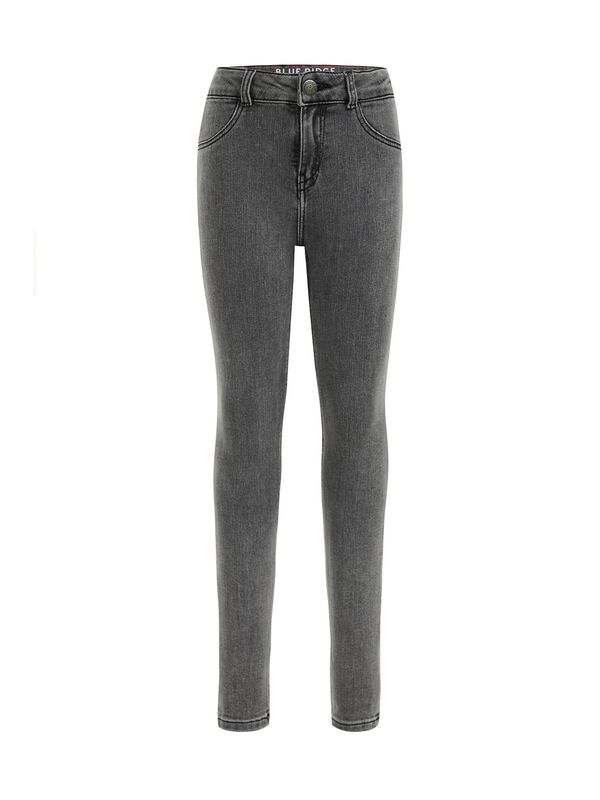 WE Fashion WE Fashion Traperice  sivi traper