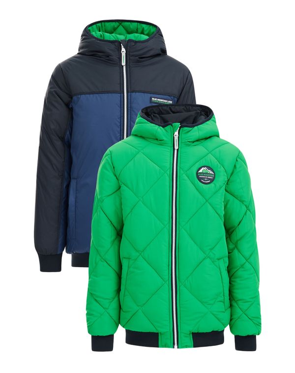 WE Fashion WE Fashion Zimska jakna  morsko plava / tamno plava / travnato zelena