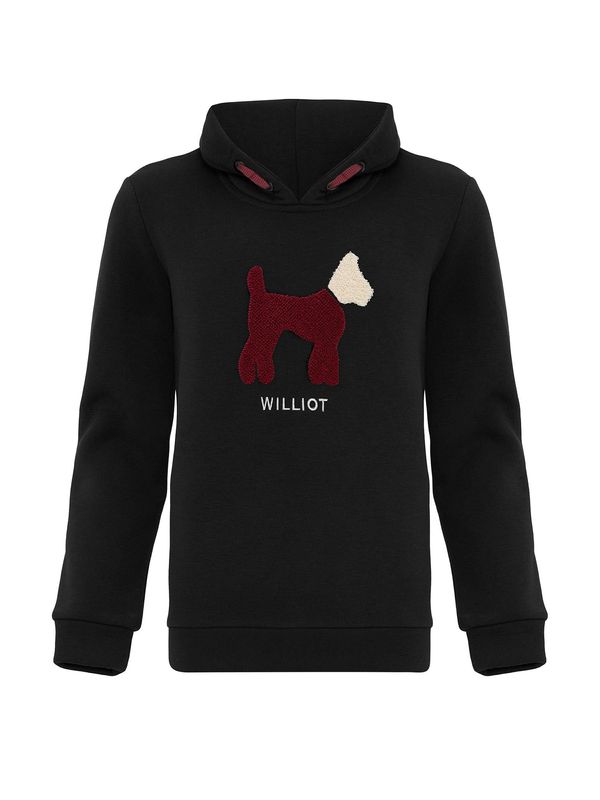 Williot Williot Sweater majica  ecru/prljavo bijela / burgund / crna
