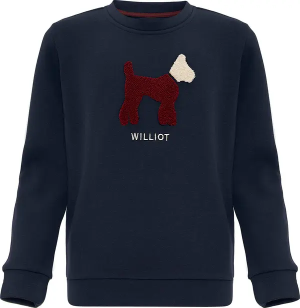 Williot Williot Sweater majica  ecru/prljavo bijela / mornarsko plava / burgund