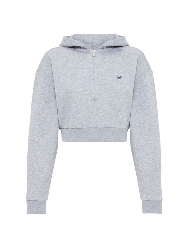 Williot Williot Sweater majica 'Isabella'  siva