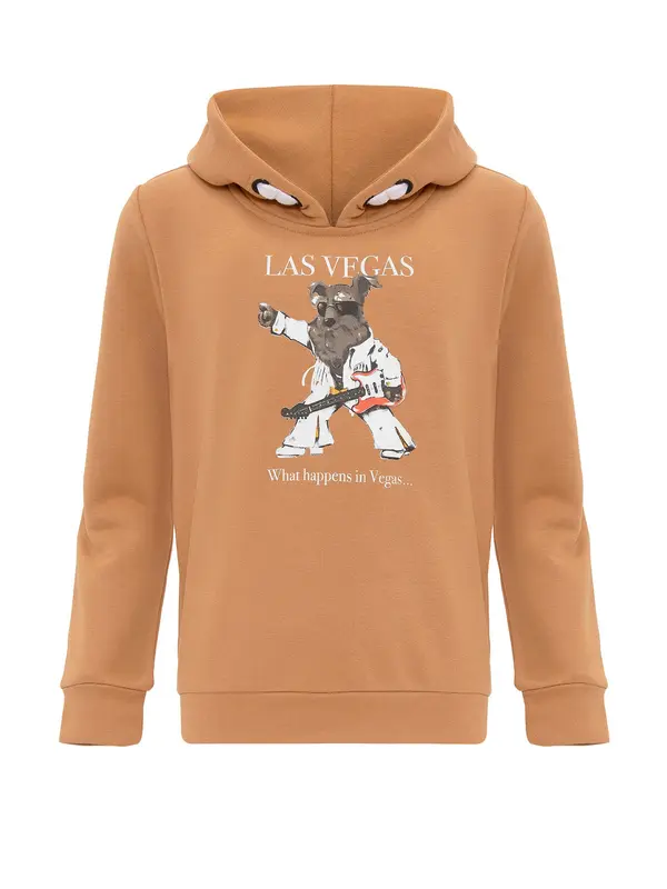 Williot Williot Sweater majica  karamela / sepija / bijela