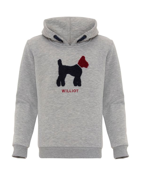 Williot Williot Sweater majica  siva / crvena / crna
