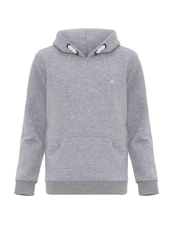 Williot Williot Sweater majica  siva / siva melange / bijela