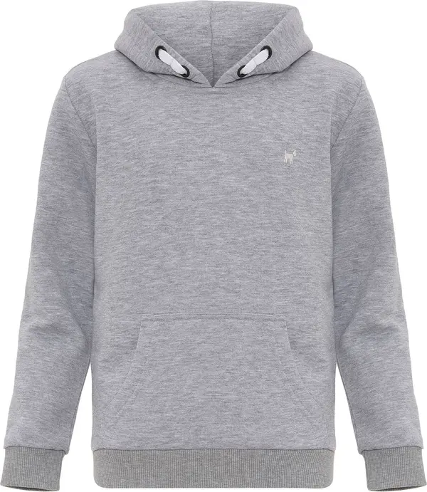 Williot Williot Sweater majica  siva / siva melange / bijela