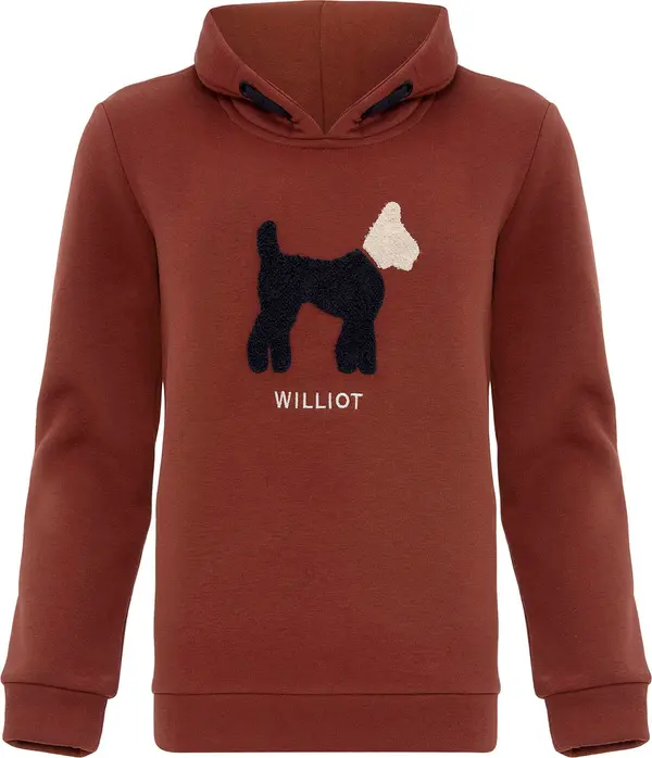 Williot Williot Sweater majica  smeđa / crna / bijela