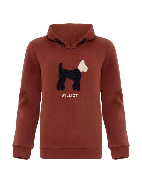 Williot Williot Sweater majica  smeđa / tamno smeđa