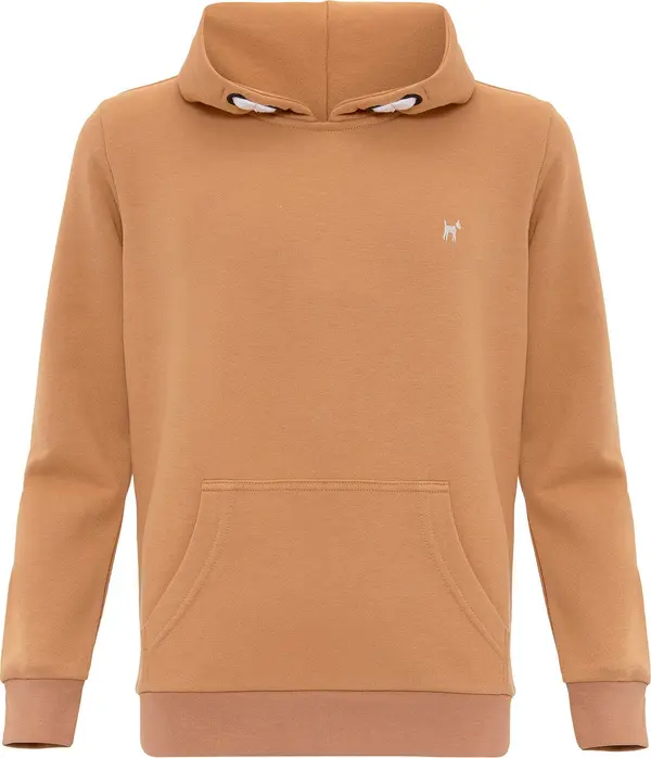Williot Williot Sweater majica  smeđa