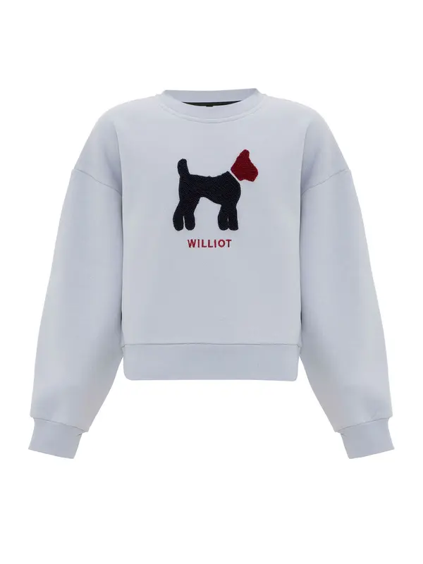 Williot Williot Sweater majica  svijetloplava / burgund / crna