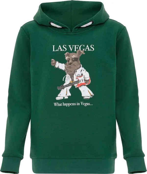 Williot Williot Sweater majica  tamno zelena / miks boja