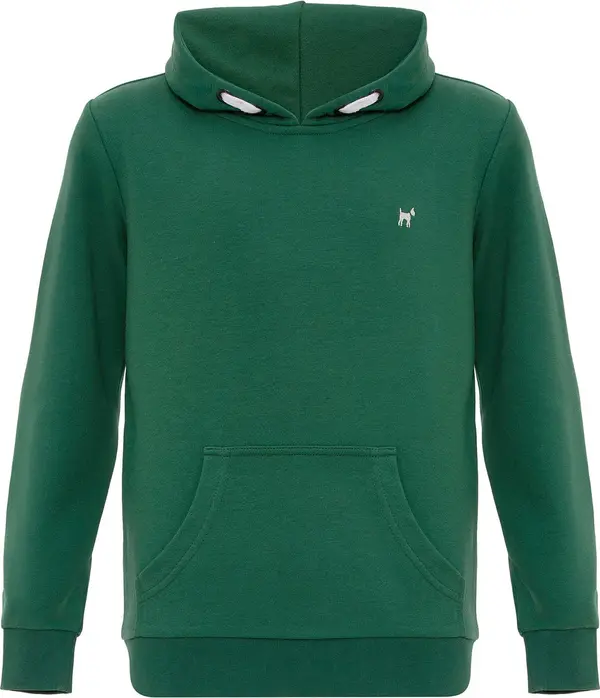 Williot Williot Sweater majica  zelena / bijela