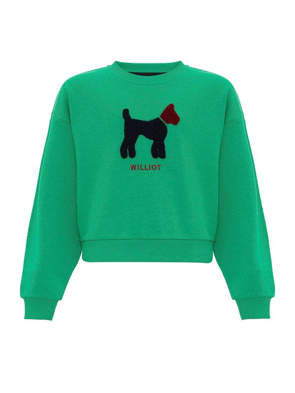 Williot Williot Sweater majica  zelena / crna
