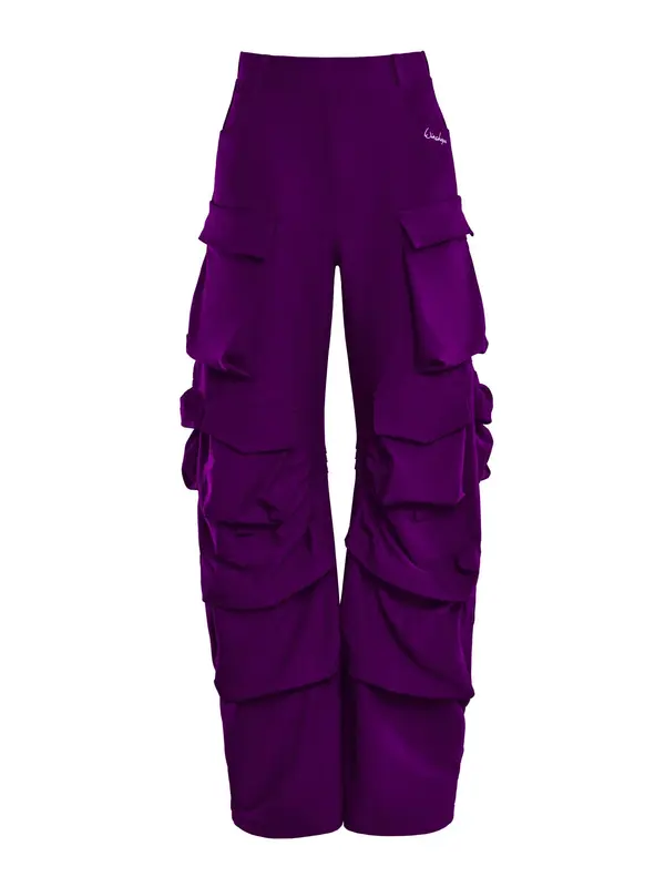 Winshape Winshape Sportske hlače 'CP101C'  šljiva