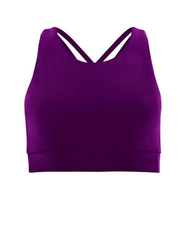 Winshape Winshape Sportski grudnjak ' SB103C '  šljiva