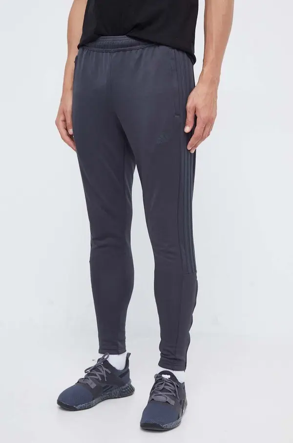 adidas adidas Donji dio trenirke adidas