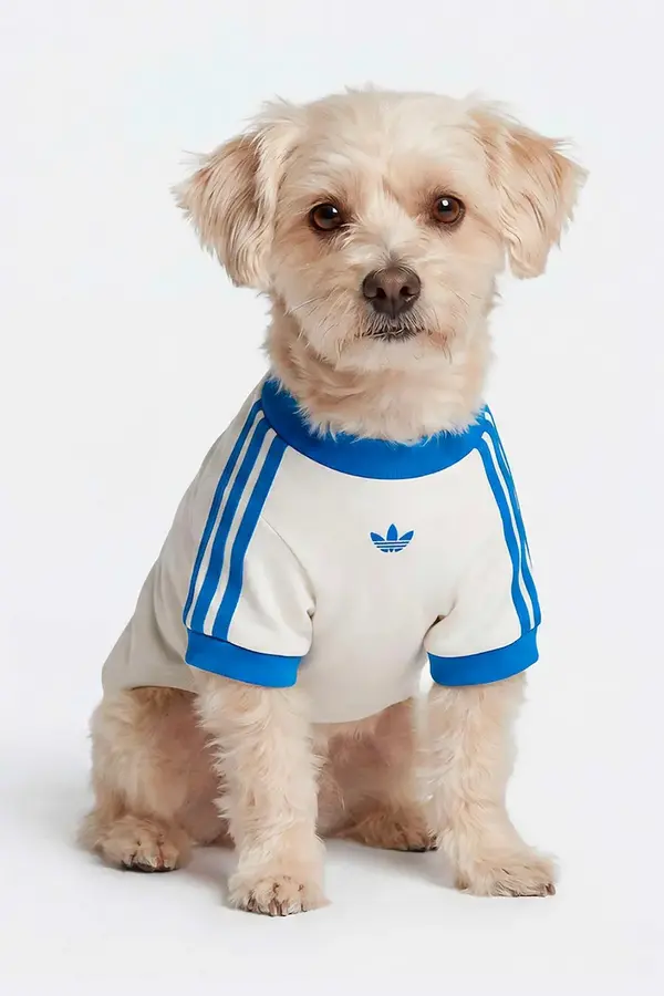 adidas Originals adidas Originals za kućnog ljubimca Pet Cali