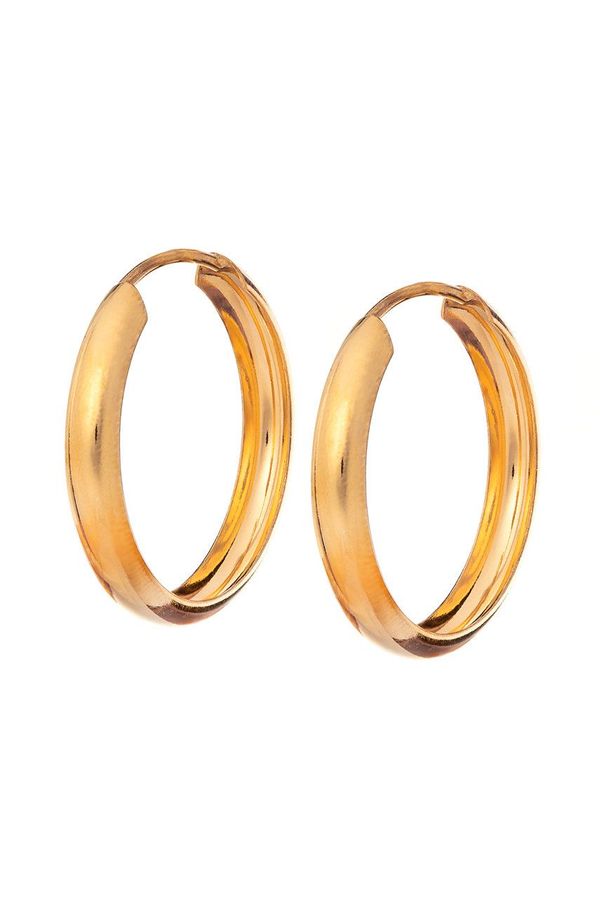 ANIA KRUK Ania Kruk - Srebrne naušnice presvučene zlatom Trendy