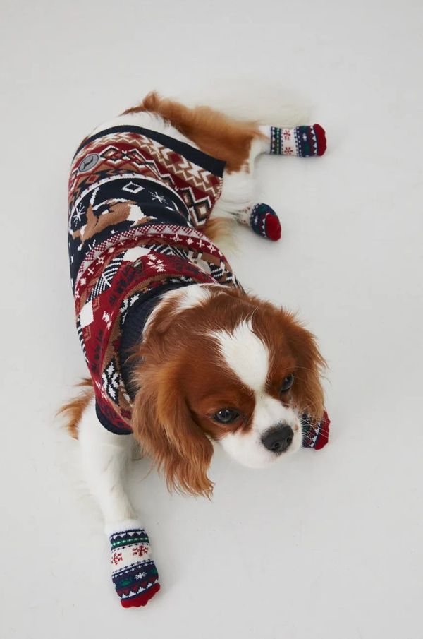 Medicine Čarape za kućne ljubimce Medicine