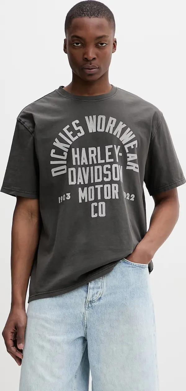 Dickies Dickies majica za muškarce od pamuka