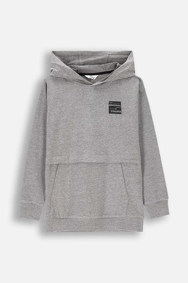 Coccodrillo Dječja dukserica Coccodrillo boja: siva, s kapuljačom, s tiskom, EVERYDAY BOY