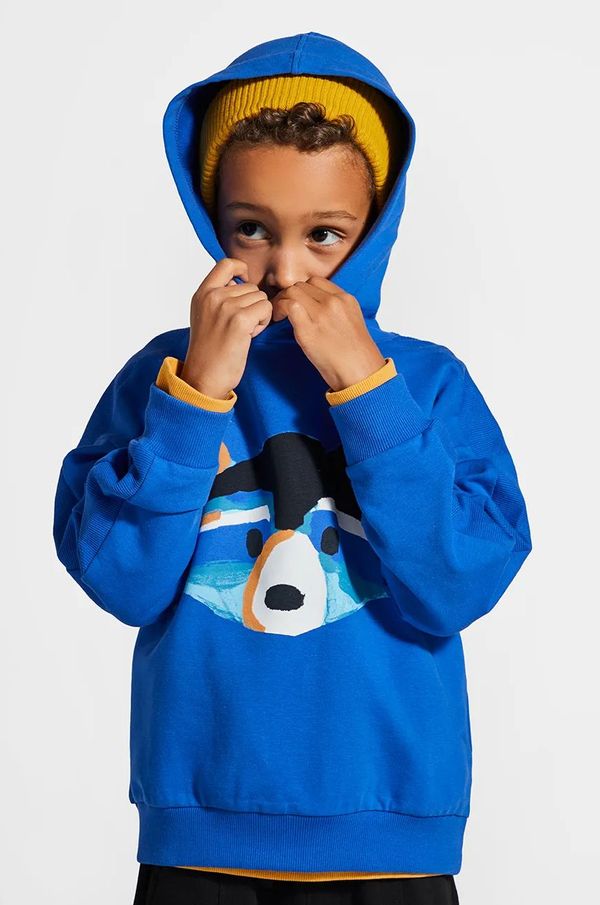 Coccodrillo Dječja dukserica Coccodrillo s kapuljačom, s tiskom, FOREST FRIENDS KIDS