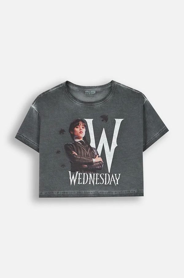 Coccodrillo Dječja pamučna majica kratkih rukava Coccodrillo boja: siva, LICENCE GIRL