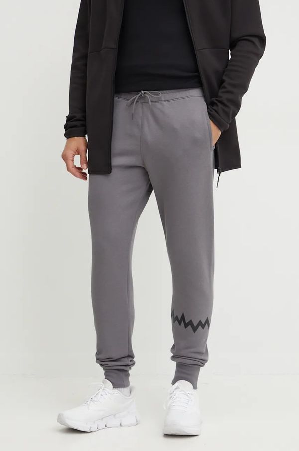 Puma Donji dio trenirke Puma Hoops boja: siva, s tiskom, 676649